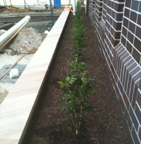 Planter Box Waterproofing